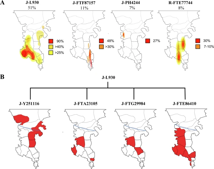 Frequency and geographical distribution of the principal Deep Maniot Y-DNA haplogroups.